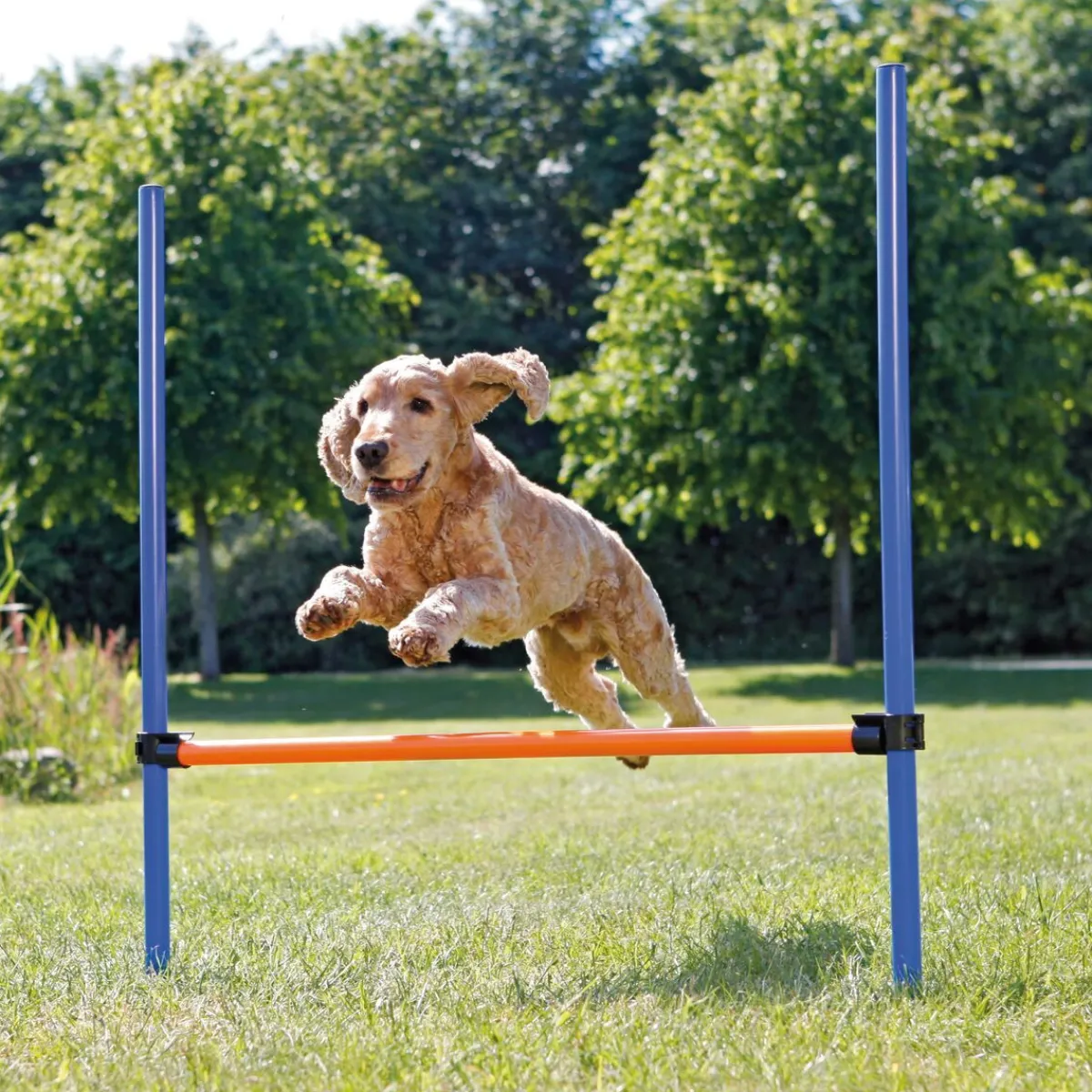 Agility aitaeste 123 x 115 cm>Trixie Best