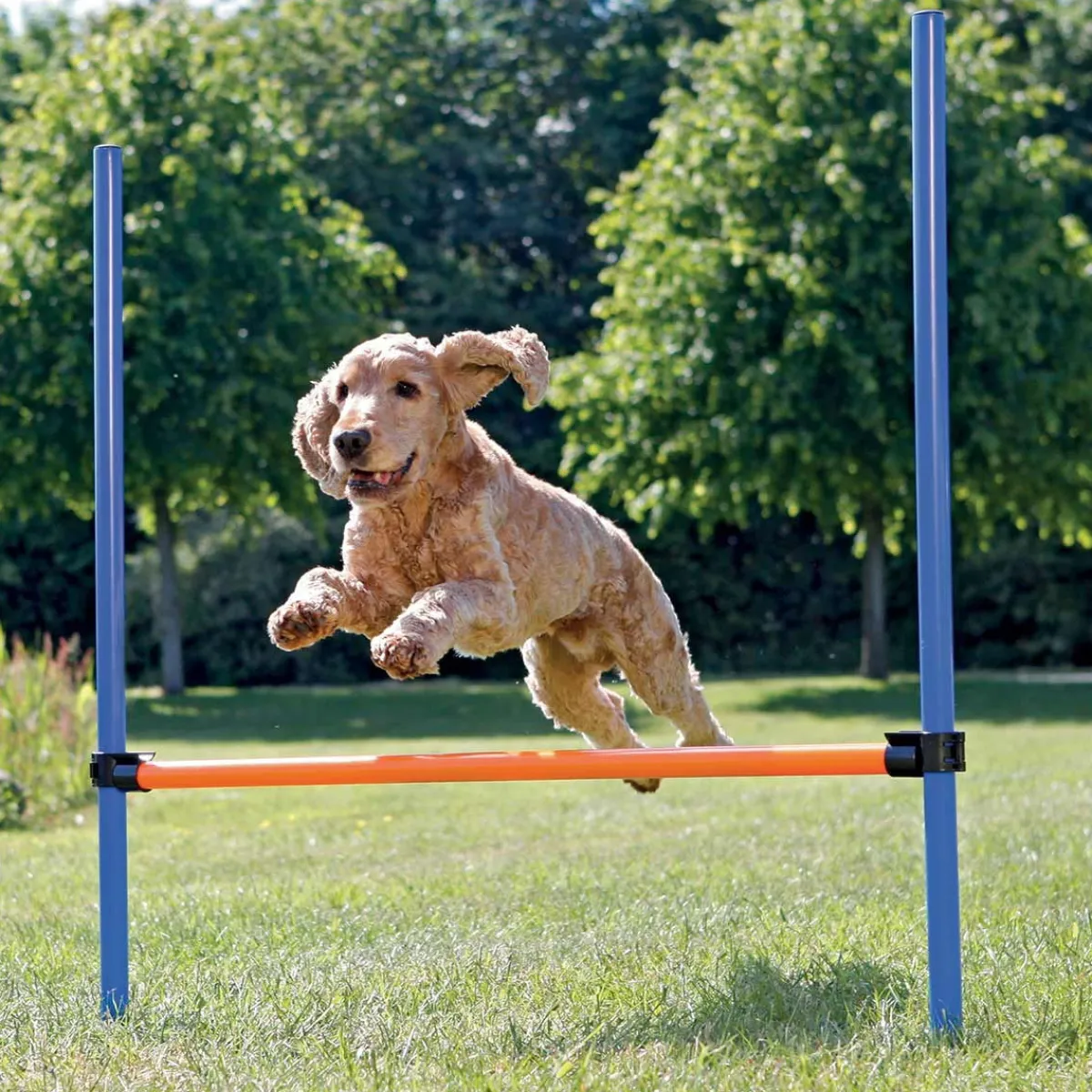 Agility aitaeste 123 x 115 cm>Trixie Best