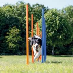 Agility pujottelueste 12 keppiä>Trixie