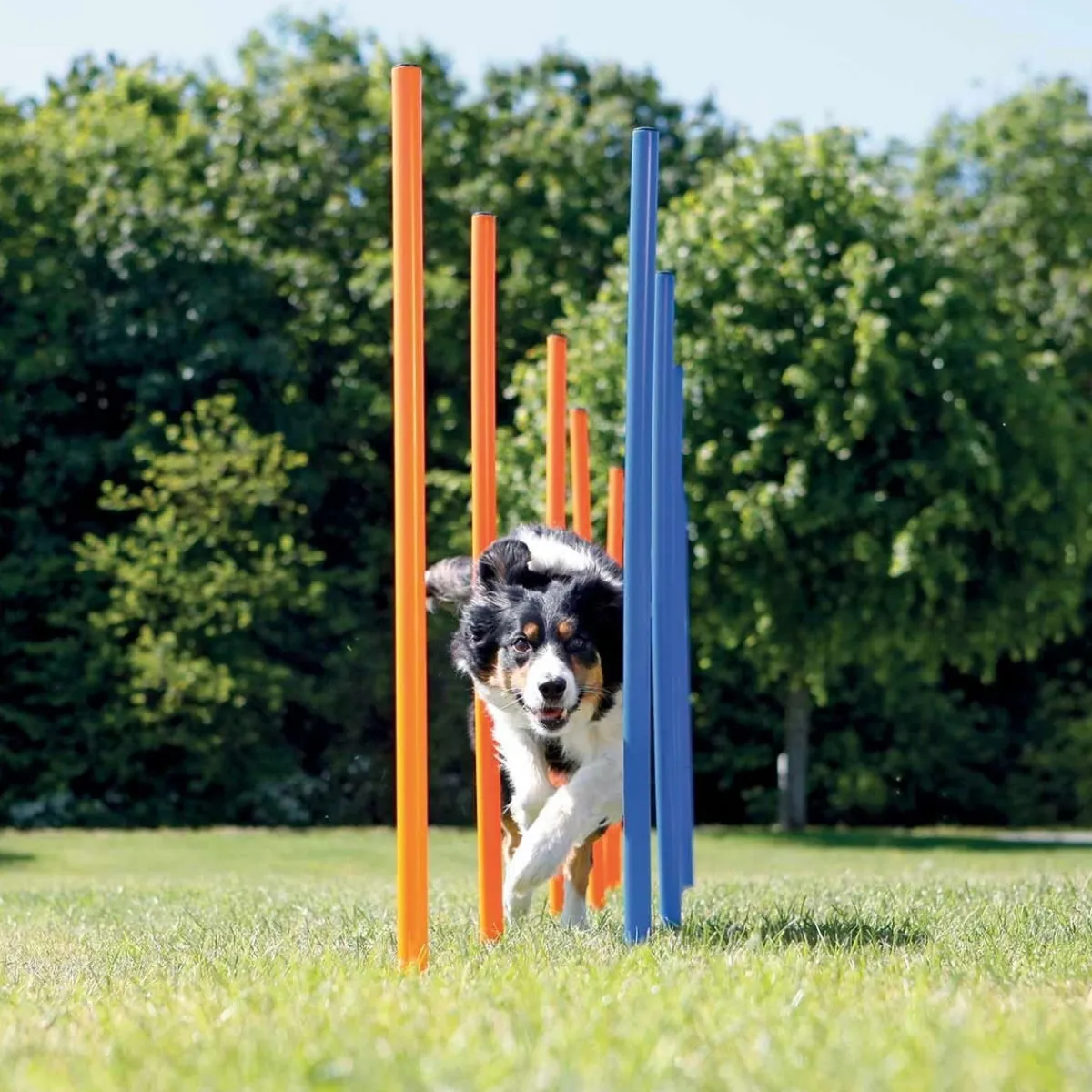 Agility pujottelueste 12 keppiä>Trixie