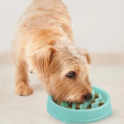 Ahmimisenestokuppi Wave S>Outward Hound Online