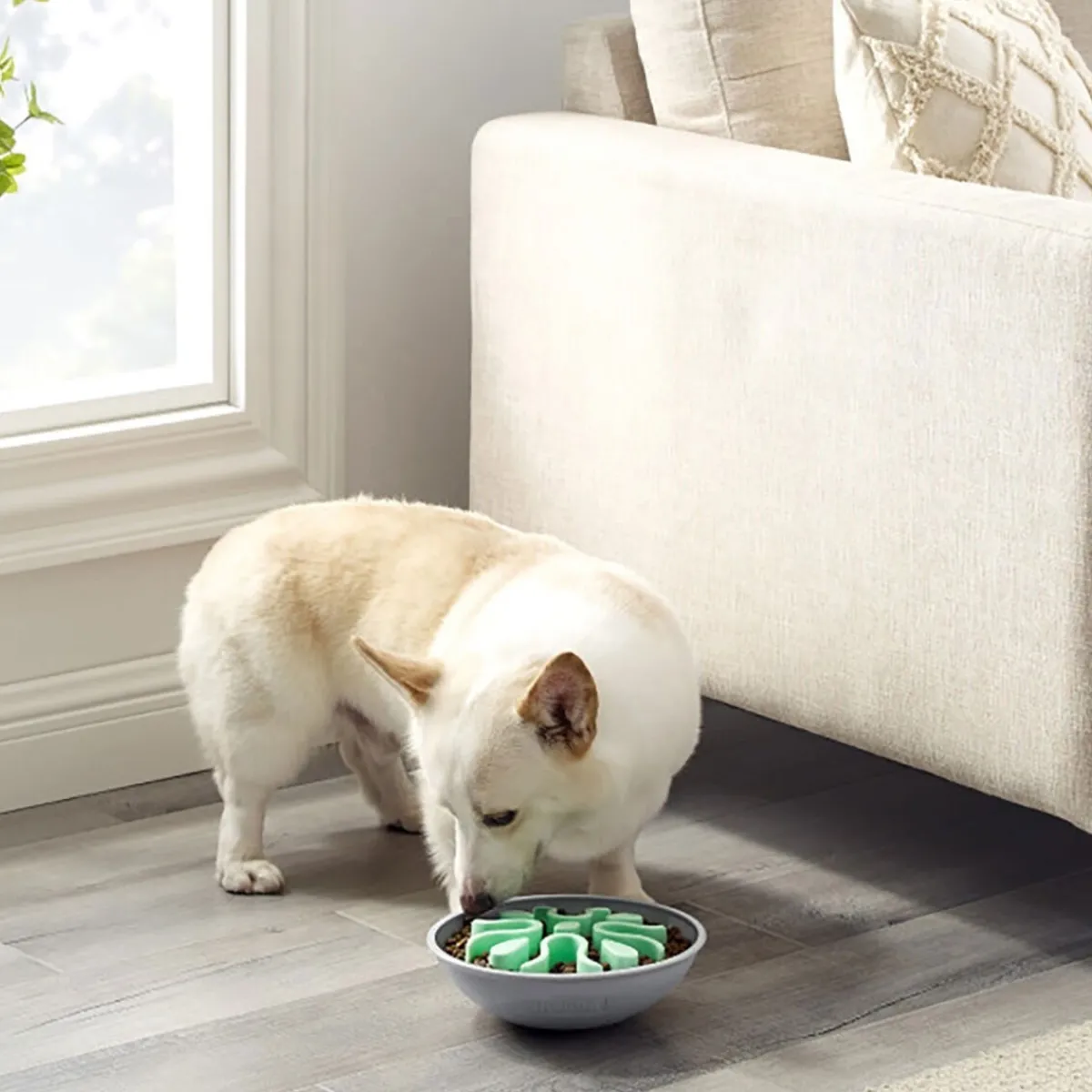 Ahmimisenestokuppi Wobble bowl>Outward Hound New