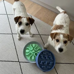 Ahmimisenestokuppi Wobble bowl>Outward Hound New