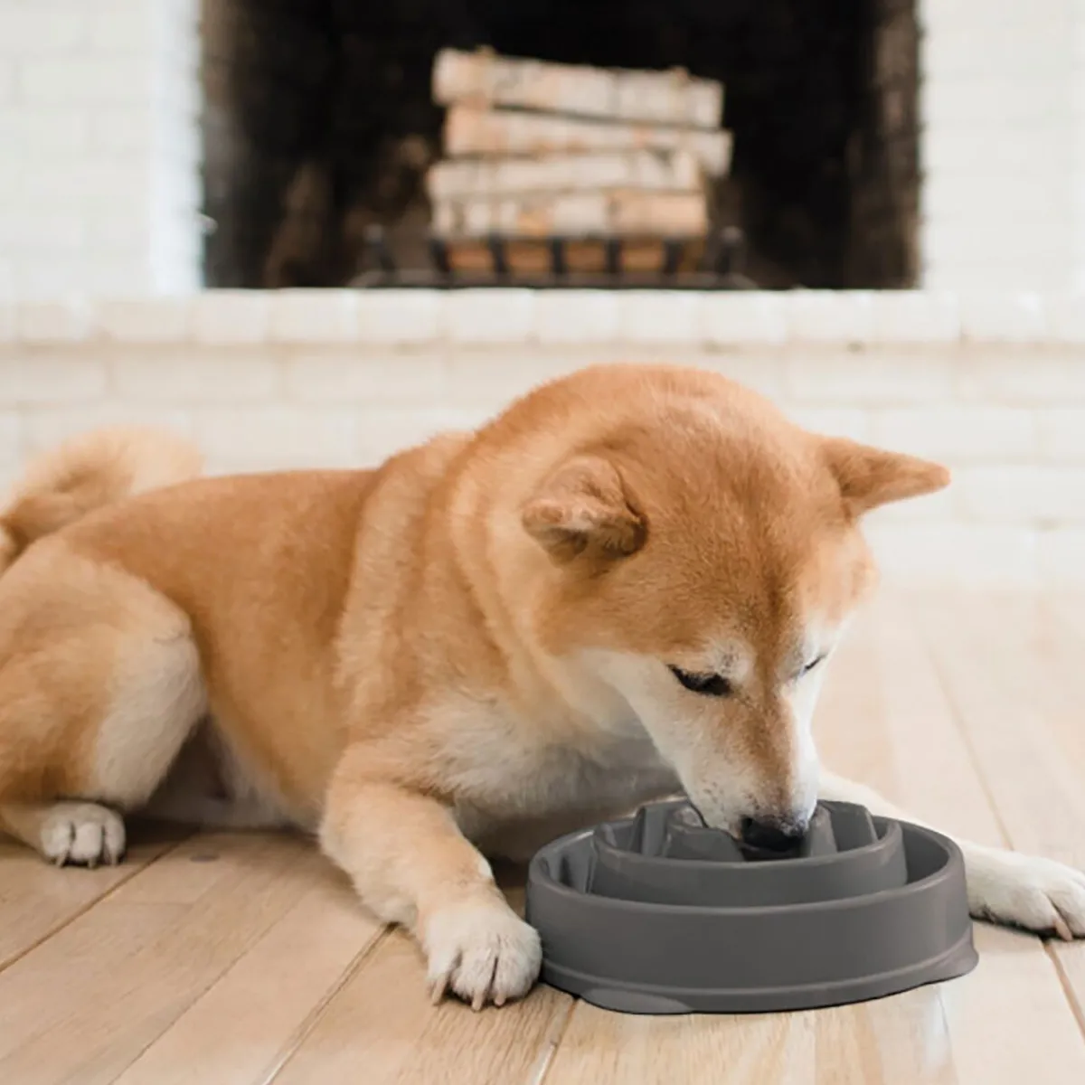 Ahmimisenestokuppi Drop M>Outward Hound Clearance
