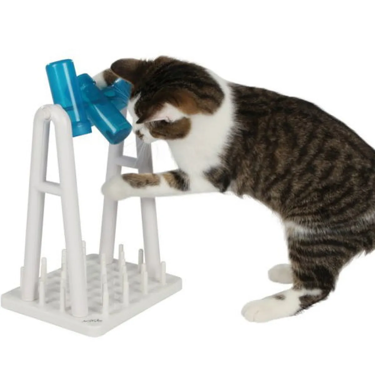 Aktivointilelu Cat Turn Around>Trixie