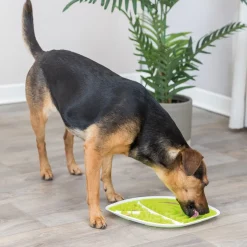 Aktivointilelu Lick'n'Snack Plate lehti>Trixie Sale