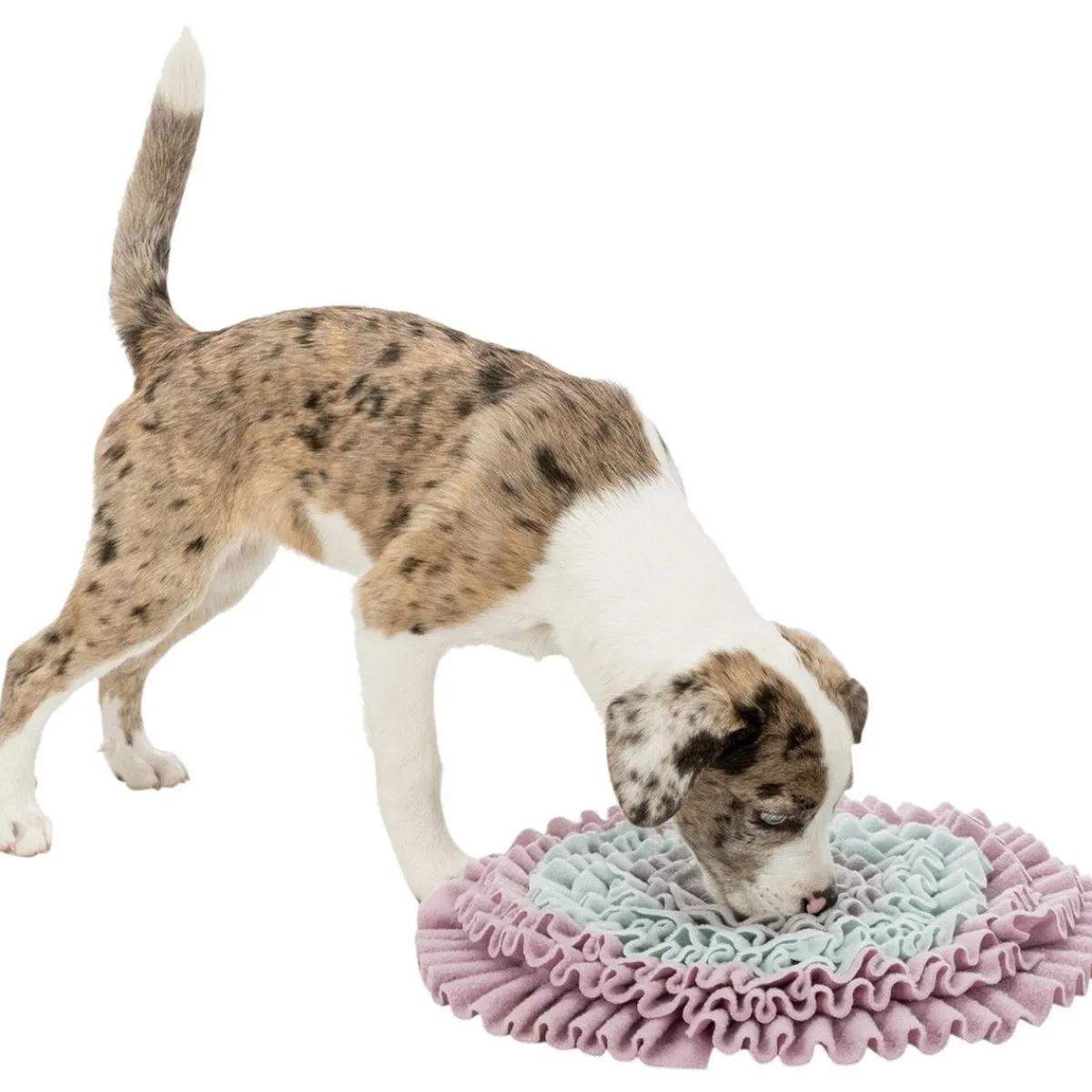 Aktivointimatto Sniffing Carpet Junior>Trixie Best