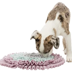 Aktivointimatto Sniffing Carpet Junior>Trixie Best