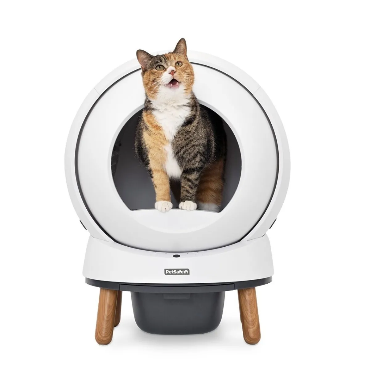 Automaattinen kissanvessa SmartSpin>Petsafe Sale
