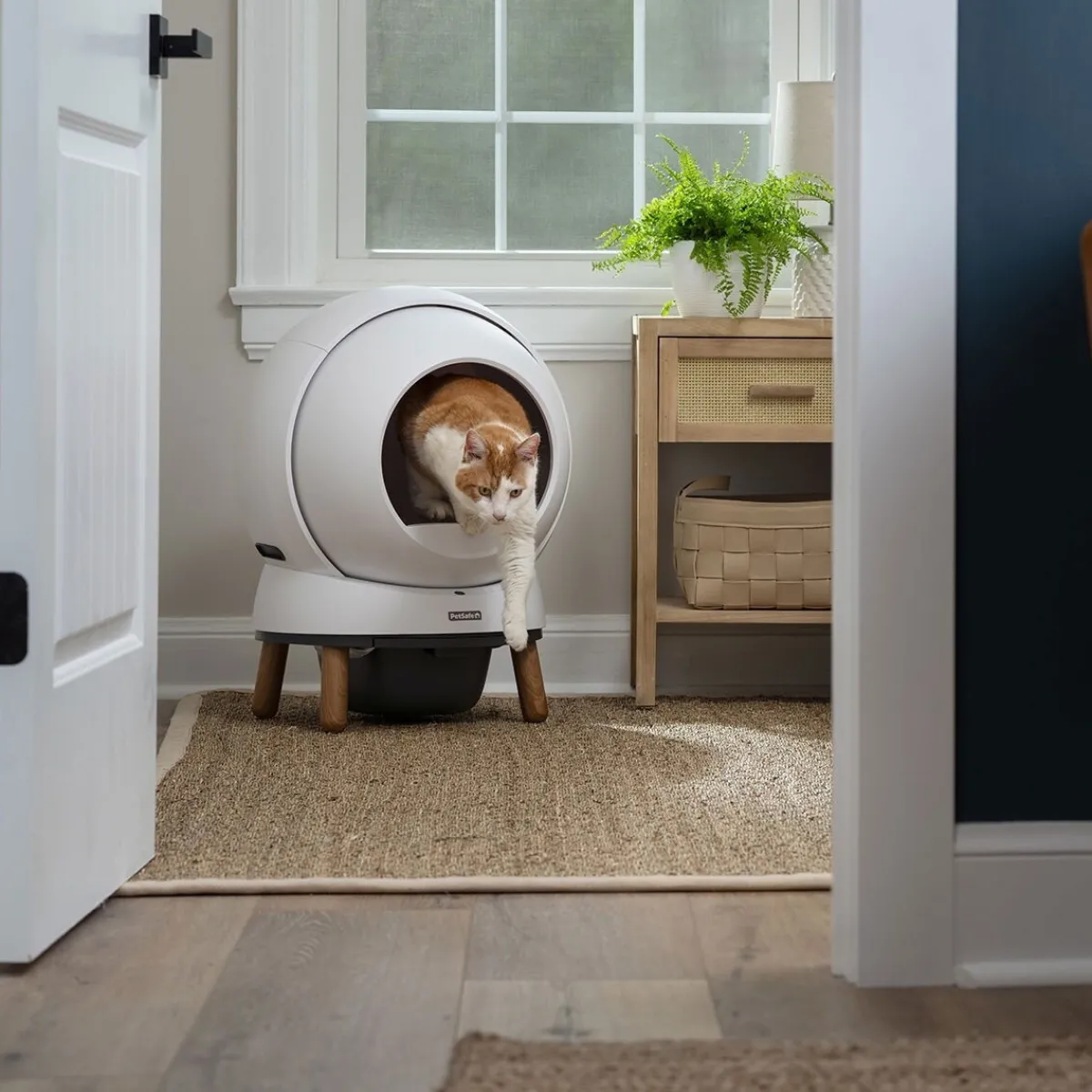 Automaattinen kissanvessa SmartSpin>Petsafe Sale
