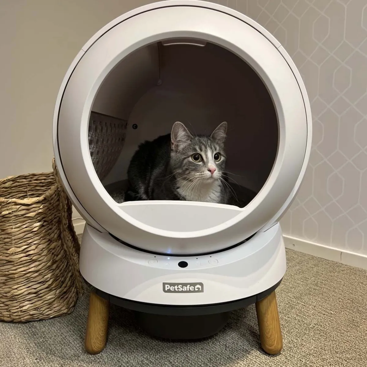 Automaattinen kissanvessa SmartSpin>Petsafe Sale