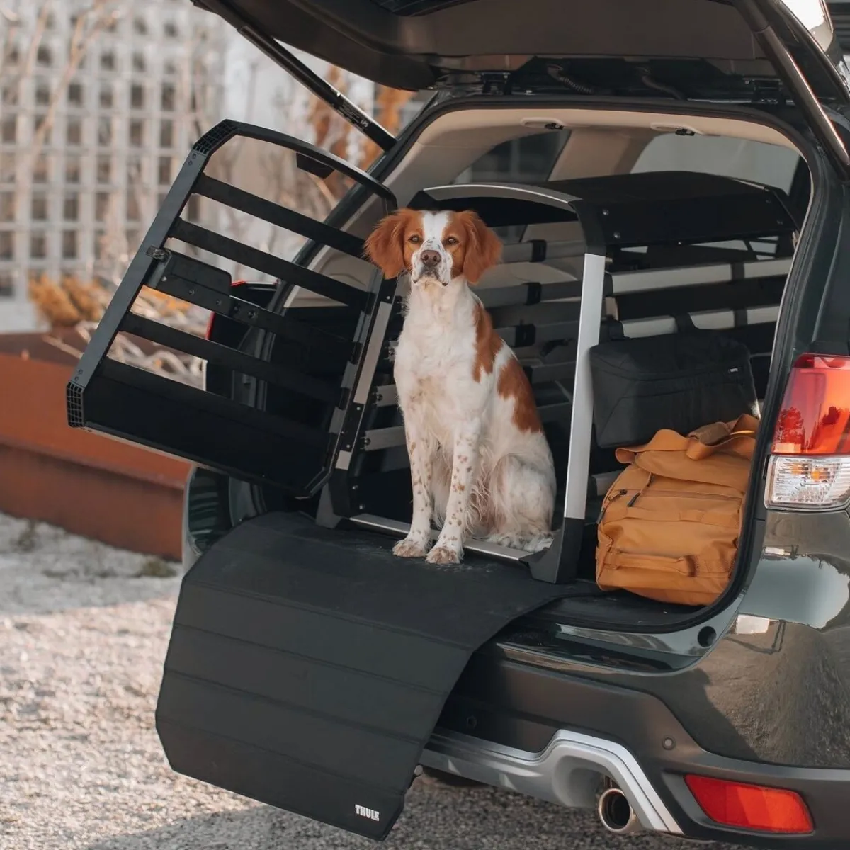 Auton puskurinsuoja>Thule