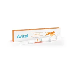 Kaopekt>Avital