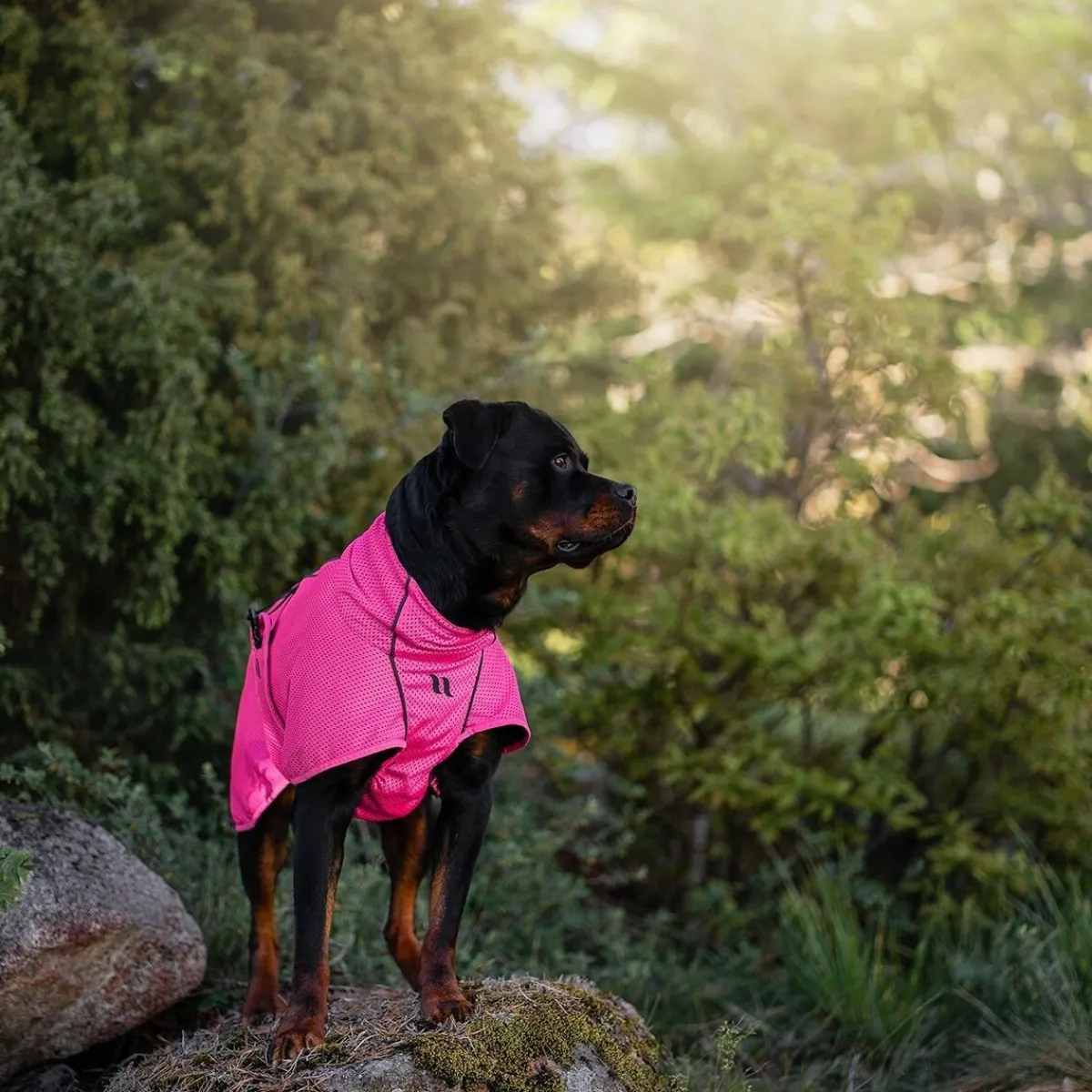 verkkoloimi Limited Edition, Hot Pink>Back on Track New