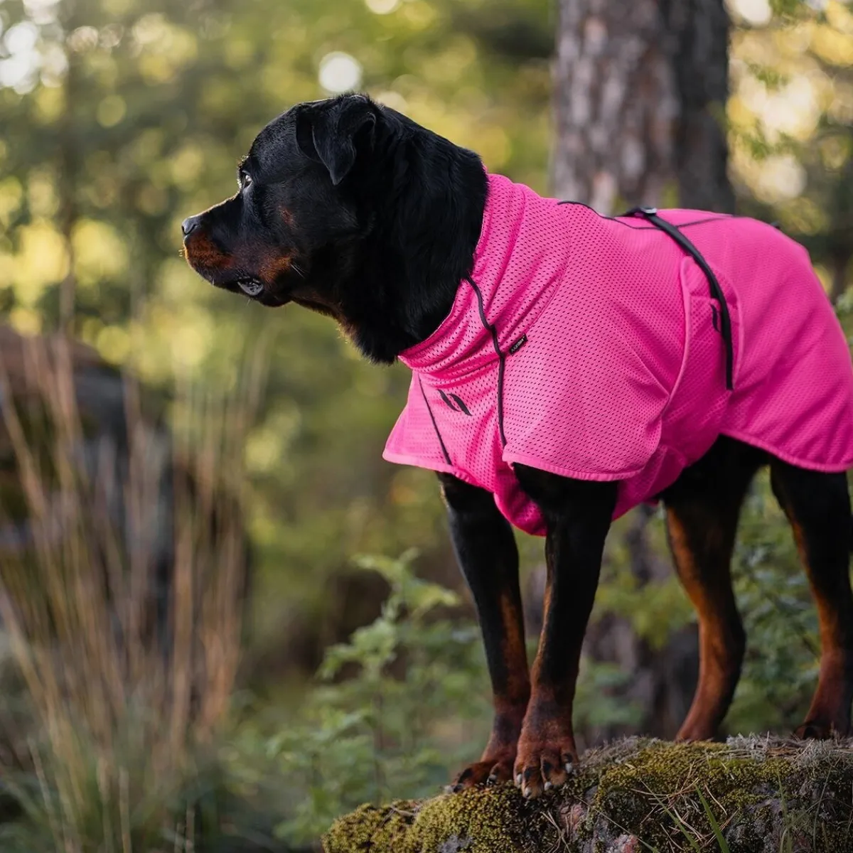 verkkoloimi Limited Edition, Hot Pink>Back on Track New