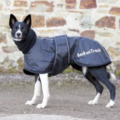 Whippet-takki>Back on Track Hot