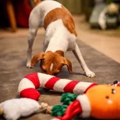 Bark-a-Boo Tufflove Holiday karkkikeppi M>Bark A Boo Sale