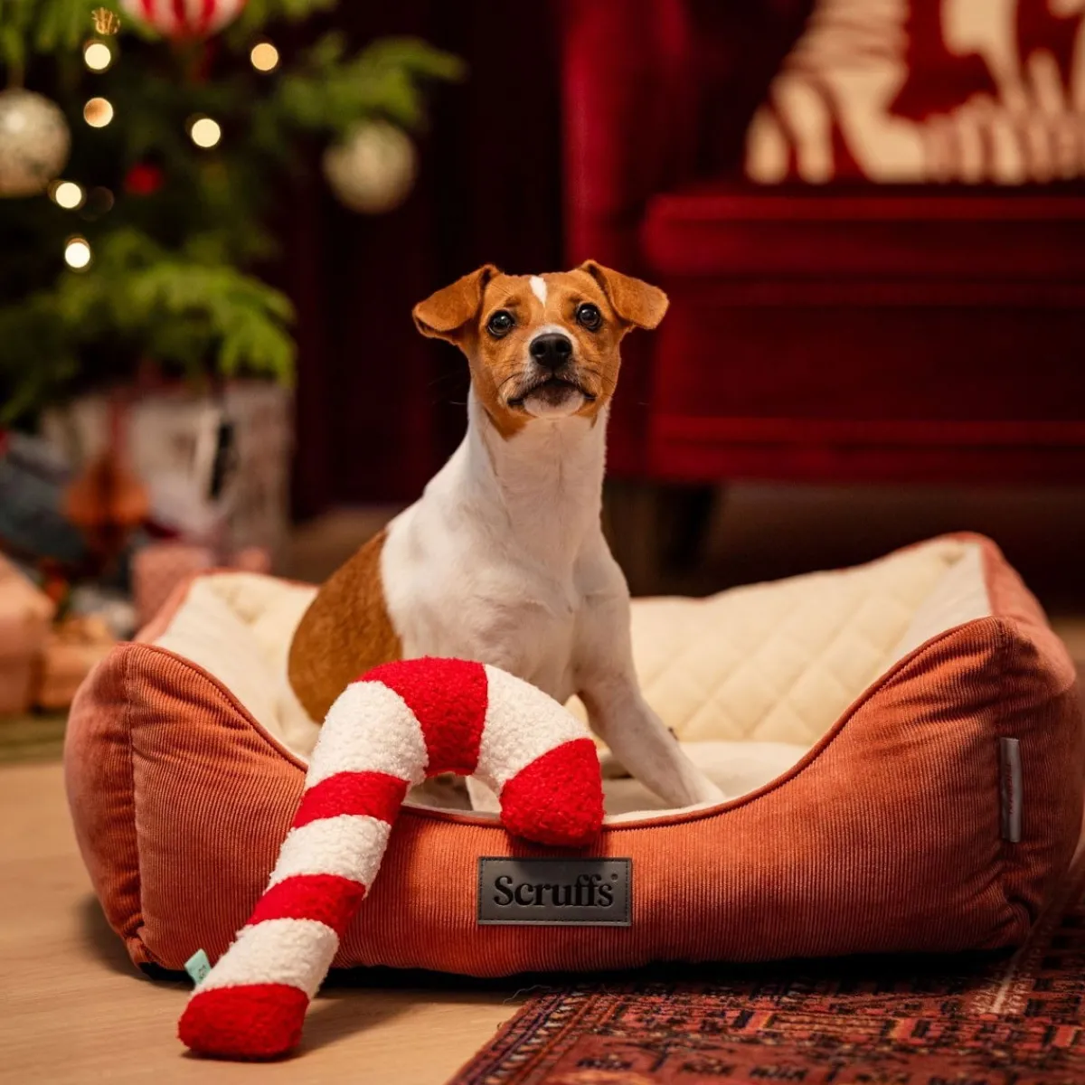 Bark-a-Boo Tufflove Holiday karkkikeppi M>Bark A Boo Sale
