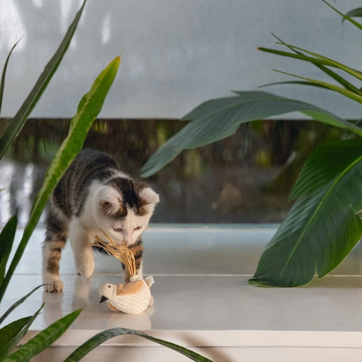 Eco Cat Bird Chicho>Beeztees Online