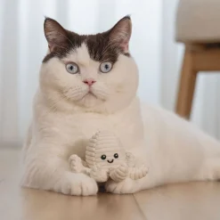 Eco Cat Octopus Nome>Beeztees Hot