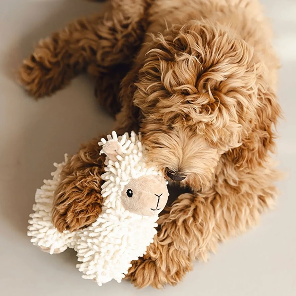 Eco Sheep Jovi>Beeztees Clearance