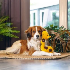 Hide N Seek Jungle Gigi Giraffe>Beeztees Clearance