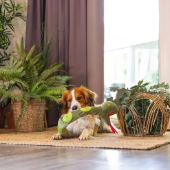 Hide N Seek Jungle Snake>Beeztees Clearance