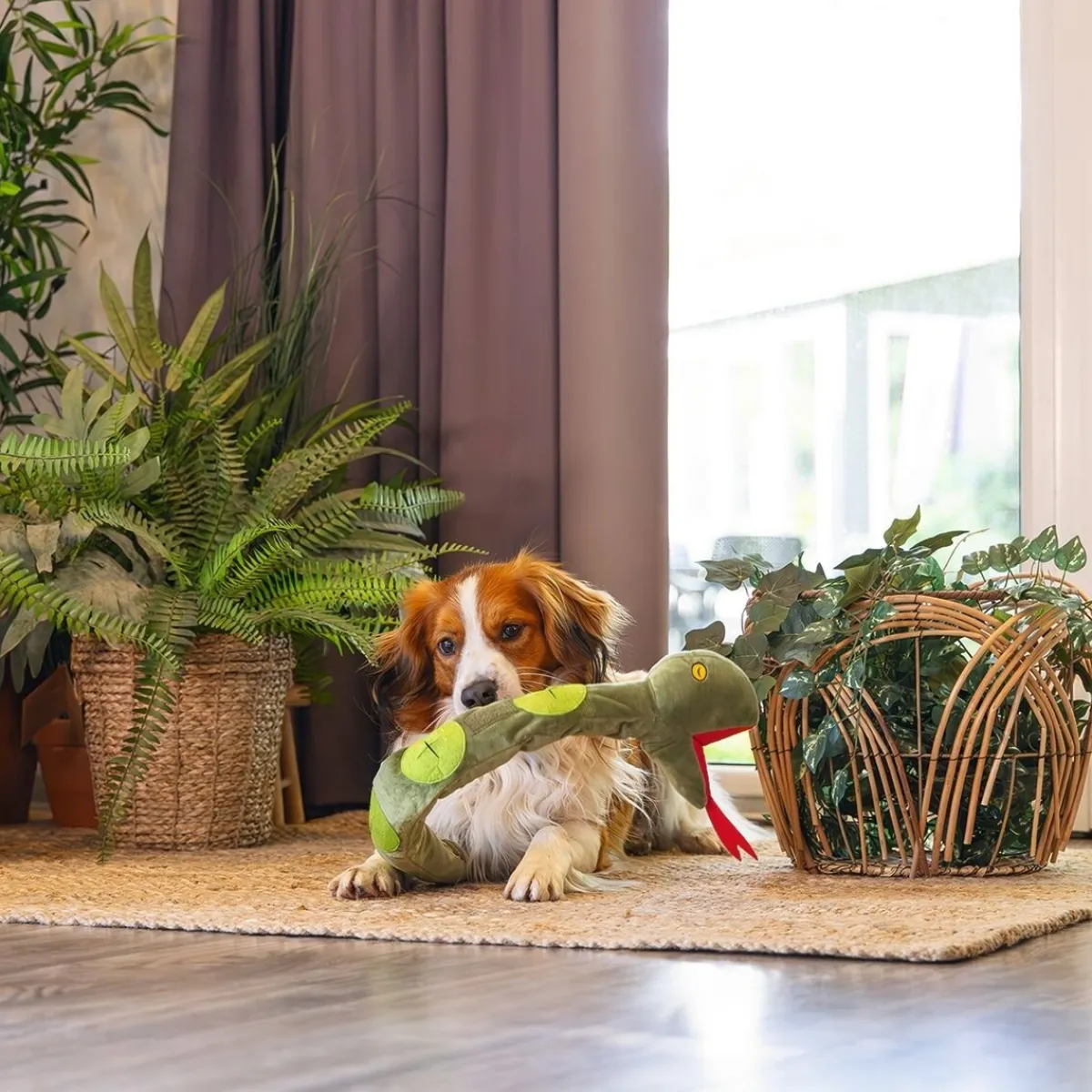 Hide N Seek Jungle Snake>Beeztees Clearance