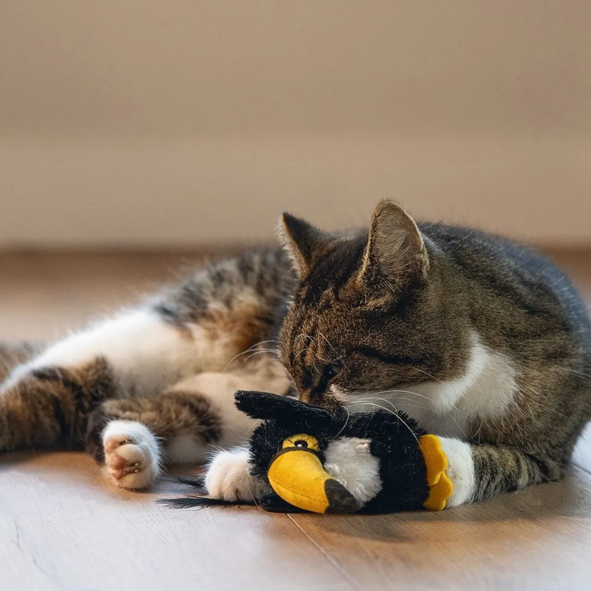 Jungle Cat Toucan Kanoe>Beeztees Outlet
