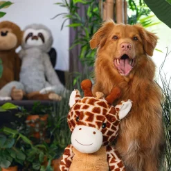 Jungle Giraffe>Beeztees Best