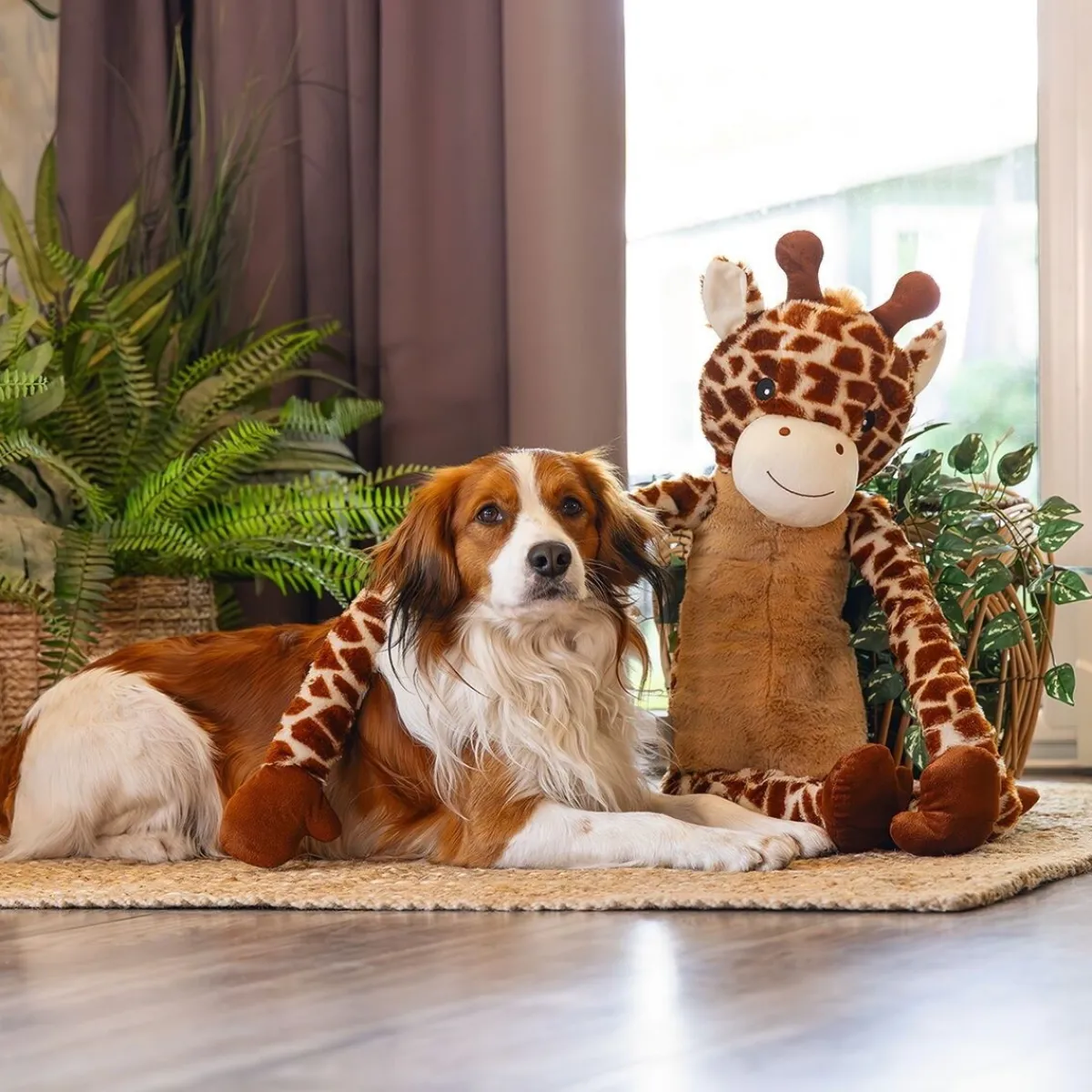 Jungle Giraffe>Beeztees Best