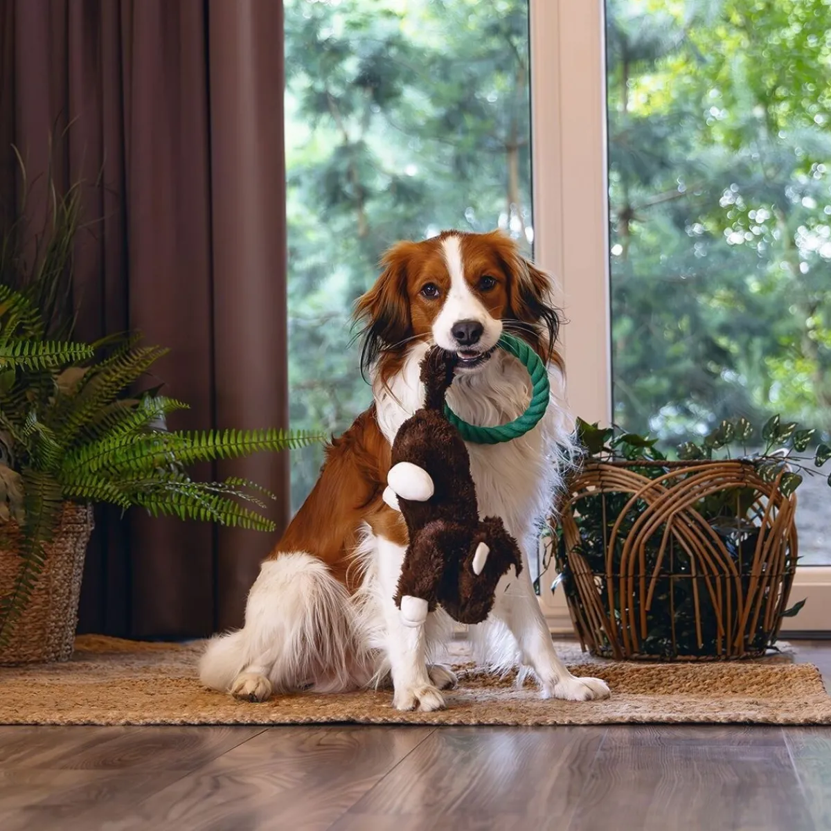 Jungle Monkey Mats>Beeztees Online
