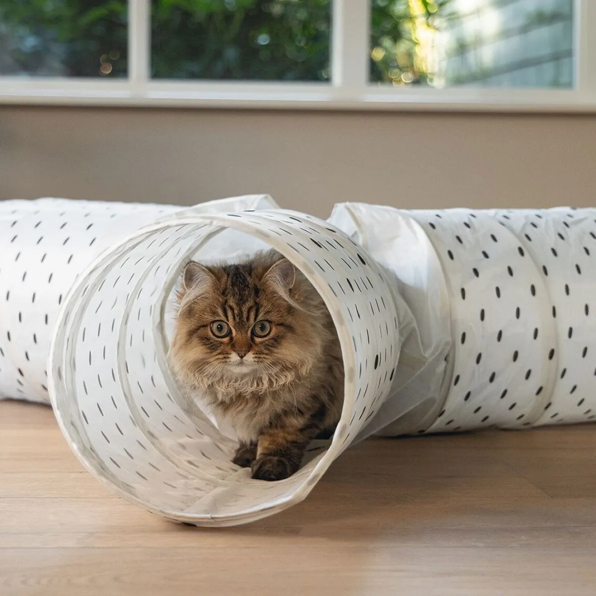 Leo -kissan tunneli>Beeztees Discount