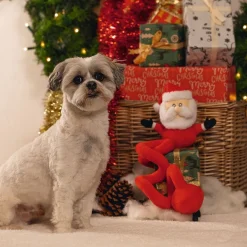 Santa Spiral>Beeztees