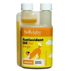 Antioxidanttiöljy 250 ml>Bellylabs Sale