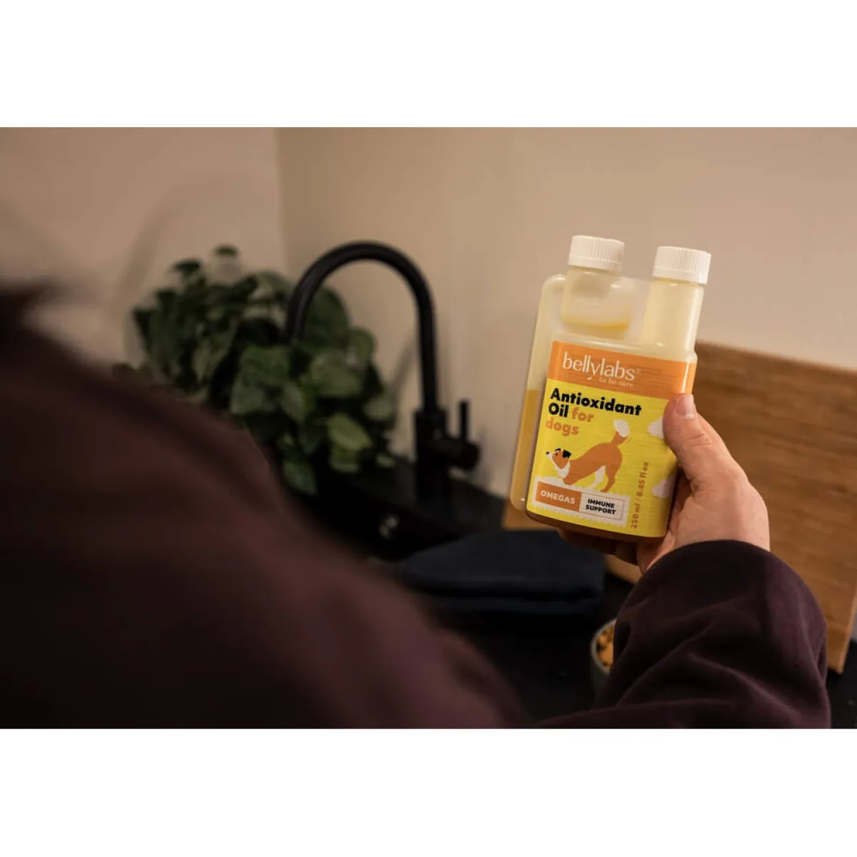 Antioxidanttiöljy 250 ml>Bellylabs Sale