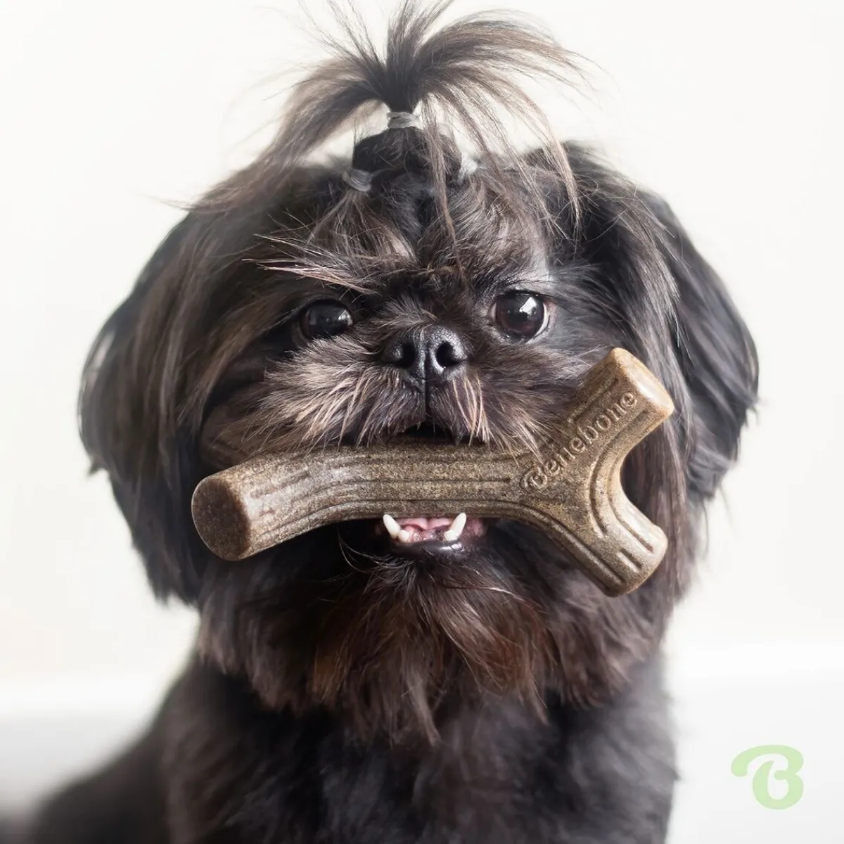 Bacon Stick>Benebone Online