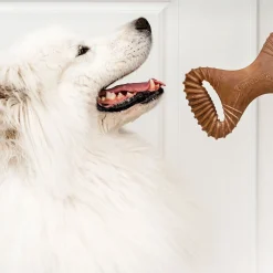 Dental Chew Bacon>Benebone Clearance