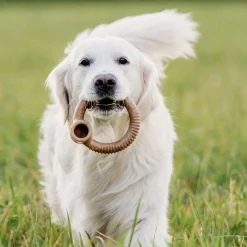 Ring Bacon>Benebone Sale