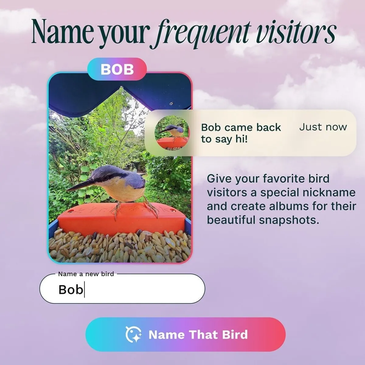 Bird Buddy -lintulauta kameralla>Birdbuddy Outlet