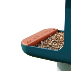 Bird Buddy -lintulauta kameralla>Birdbuddy Outlet