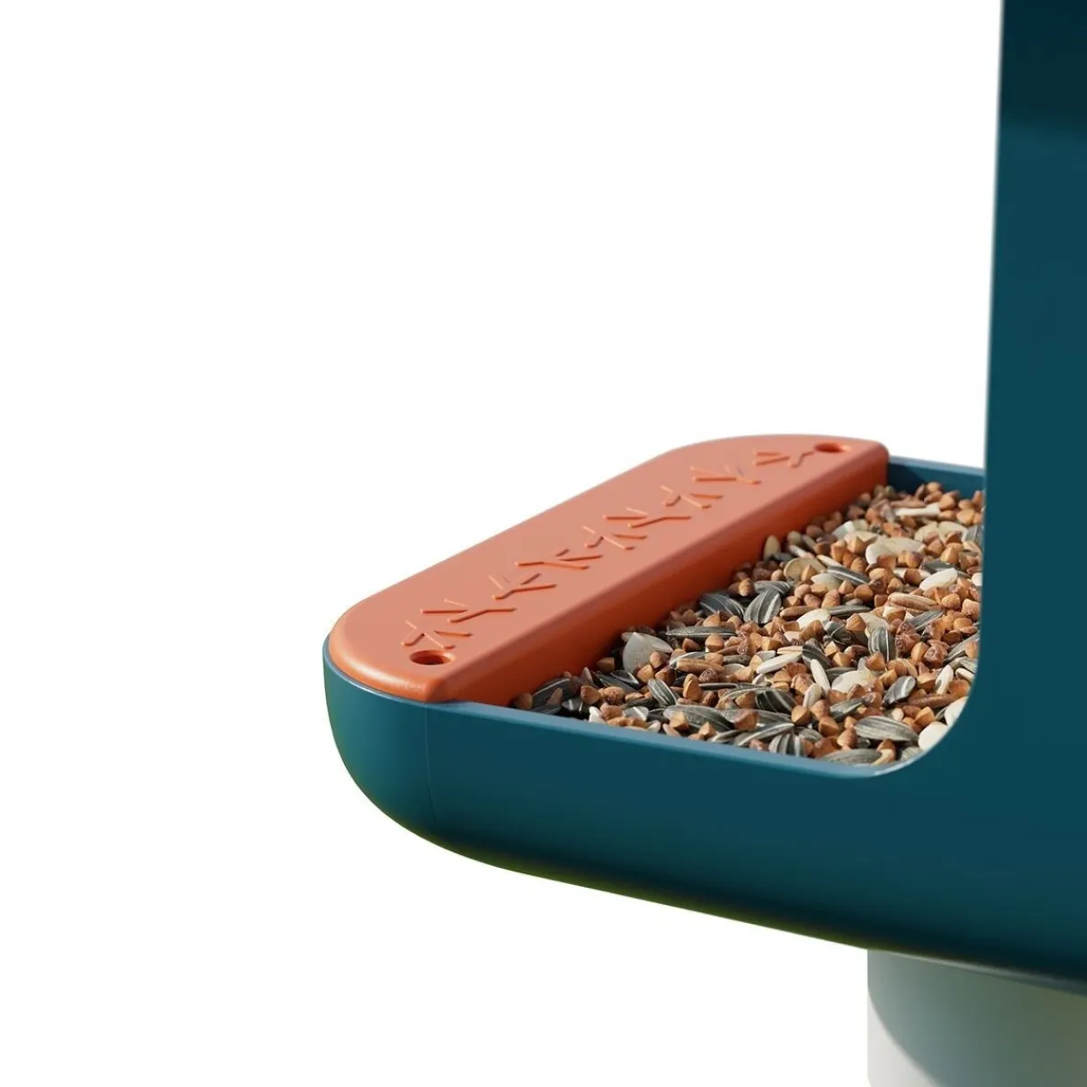 Bird Buddy -lintulauta kameralla>Birdbuddy Outlet