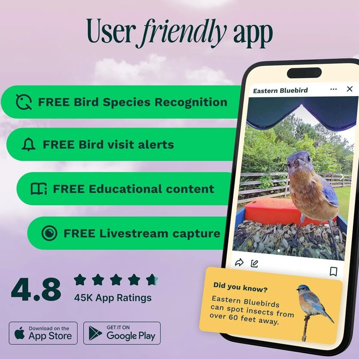 Bird Buddy -lintulauta kameralla>Birdbuddy Outlet