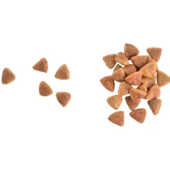 Cat Grain-Free Haircare Healthy & Shiny Coat>Brit Care Sale