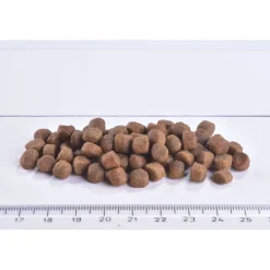 Cat Grain-Free Kitten Gentle Digestion & Strong Immunity>Brit Care Online