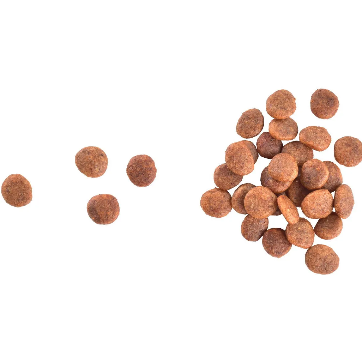 Cat Grain-Free Large cats Power & Vitality>Brit Care Outlet