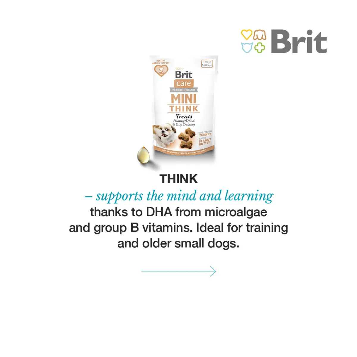 Dog Miniherkut THINK 50 g>Brit Care Online
