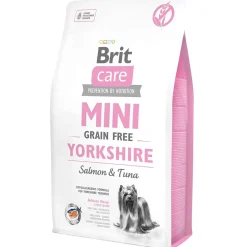 Mini GF Yorkshire>Brit Care Clearance