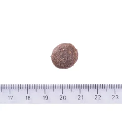Sustainable Junior Large Breed>Brit Care Discount