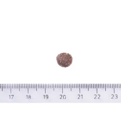 Sustainable Puppy>Brit Care Best